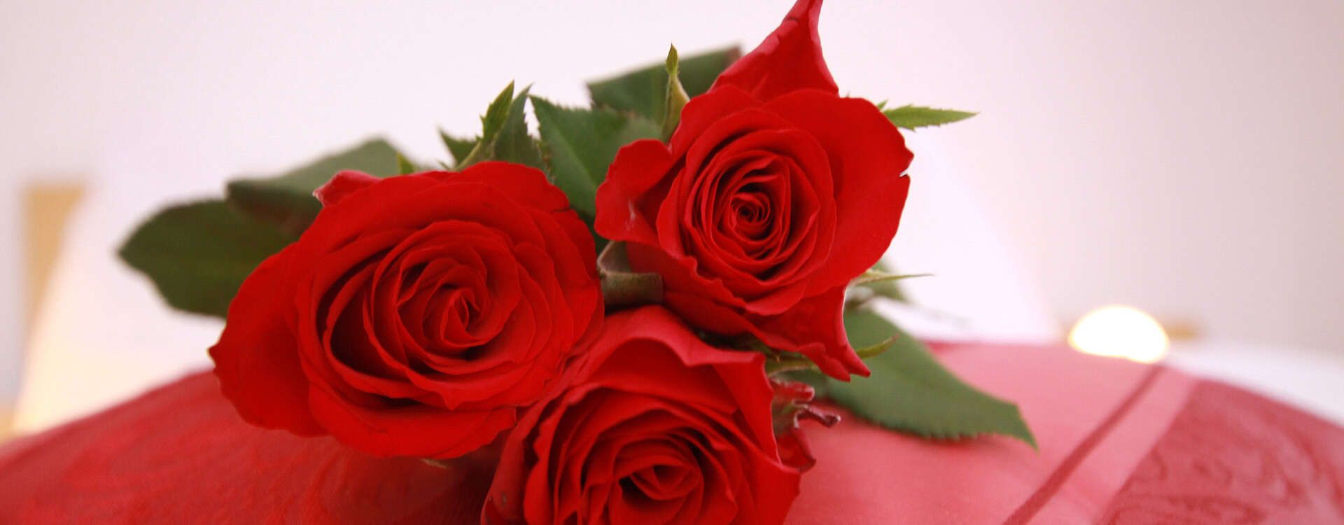 Rosen Ambiente
