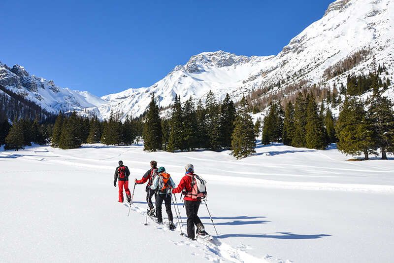 Schneeschuhwandern Waldrast